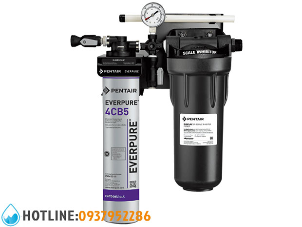 Máy Lọc Nước Pentair Everpure Kleensteam 1 CT